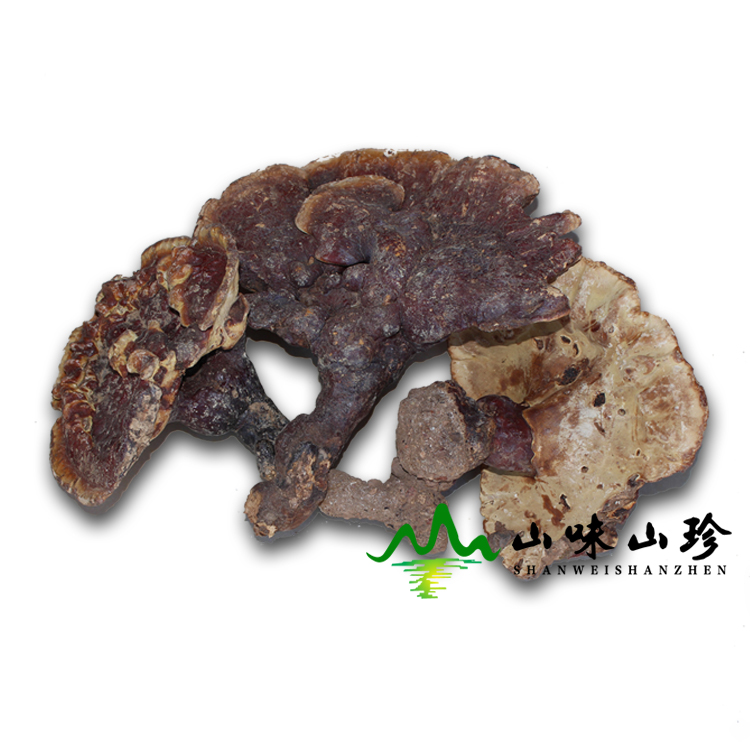野生灵芝种类