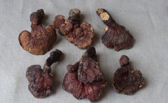赤灵芝的食用方法
