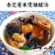 赤芝薏米煲猪腱汤