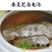 赤灵芝乌龟汤