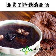 赤灵芝降糖消脂汤