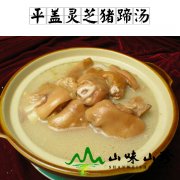 平盖灵芝猪蹄汤