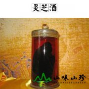 灵芝酒