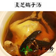 灵芝鸽子汤