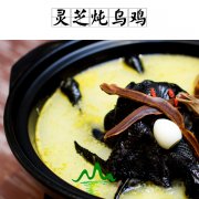 灵芝炖乌鸡