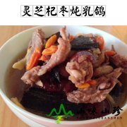 灵芝杞枣炖乳鸽