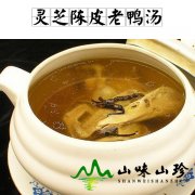 灵芝陈皮老鸭汤