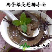 鸡骨草灵芝排毒汤