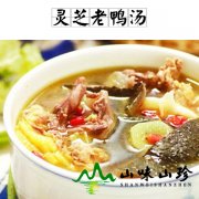灵芝老鸭汤
