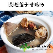 灵芝莲子清鸡汤