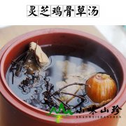 灵芝鸡骨草汤