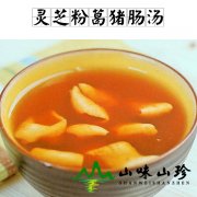灵芝粉葛猪肠汤